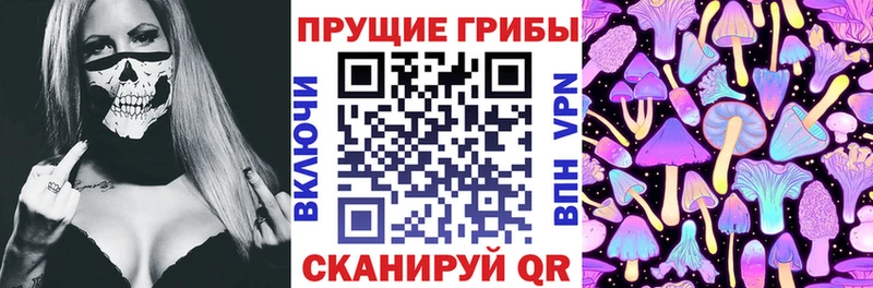 Псилоцибиновые грибы Psilocybe  Нарьян-Мар 